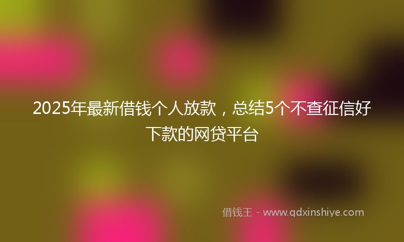2025年最新借钱个人放款，总结5个不查征信好下款的网贷平台