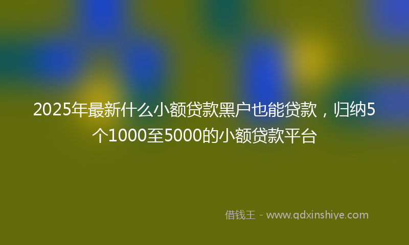 2025年最新什么小额贷款黑户也能贷款，归纳5个1000至5000的小额贷款平台
