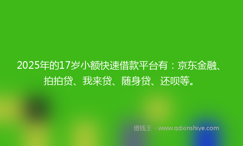 2025年的17岁小额快速借款平台有：京东金融、拍拍贷、我来贷、随身贷、还呗等。