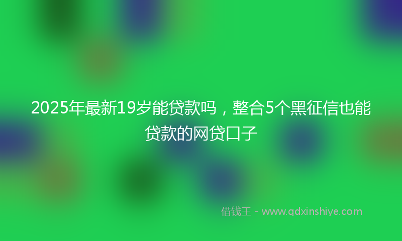 2025年最新19岁能贷款吗，整合5个黑征信也能贷款的网贷口子