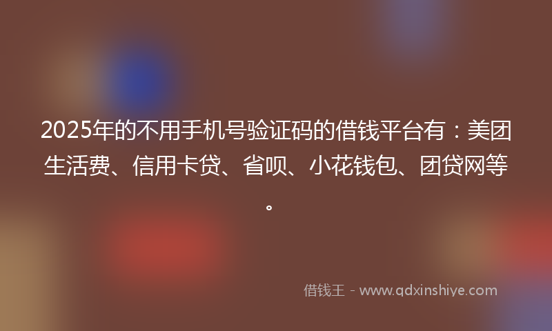 2025年的不用手机号验证码的借钱平台有：美团生活费、信用卡贷、省呗、小花钱包、团贷网等。
