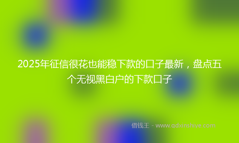2025年征信很花也能稳下款的口子最新，盘点五个无视黑白户的下款口子