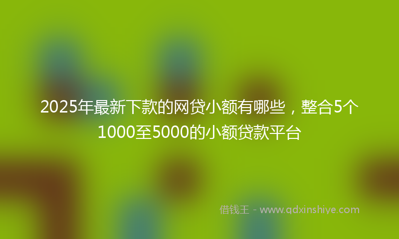 2025年最新下款的网贷小额有哪些，整合5个1000至5000的小额贷款平台