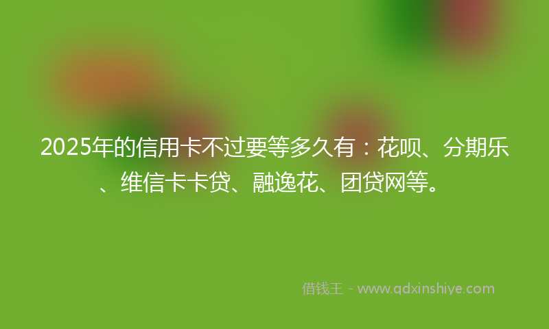 2025年的信用卡不过要等多久有：花呗、分期乐、维信卡卡贷、融逸花、团贷网等。