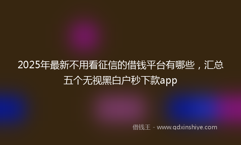 2025年最新不用看征信的借钱平台有哪些，汇总五个无视黑白户秒下款app