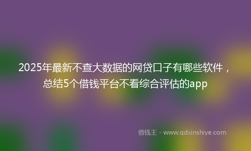 2025年最新不查大数据的网贷口子有哪些软件，总结5个借钱平台不看综合评估的app