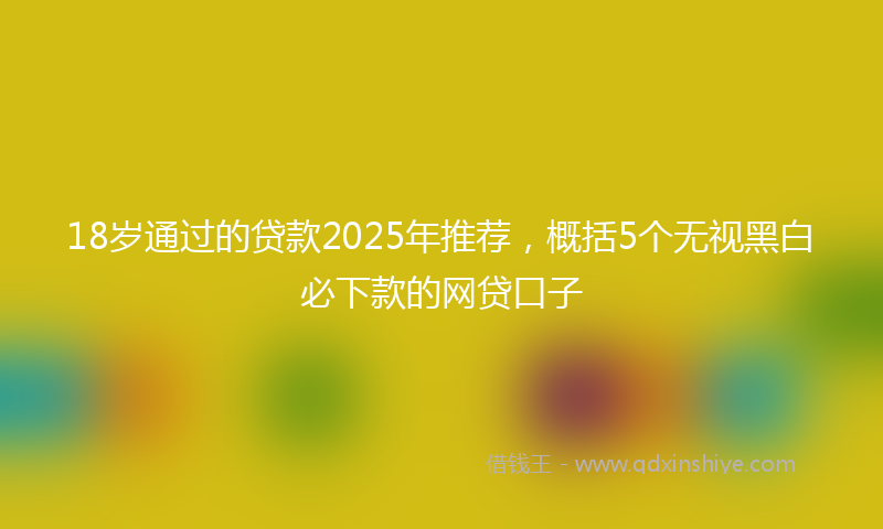 18岁通过的贷款2025年推荐，概括5个无视黑白必下款的网贷口子