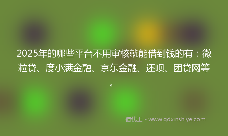 2025年的哪些平台不用审核就能借到钱的有：微粒贷、度小满金融、京东金融、还呗、团贷网等。