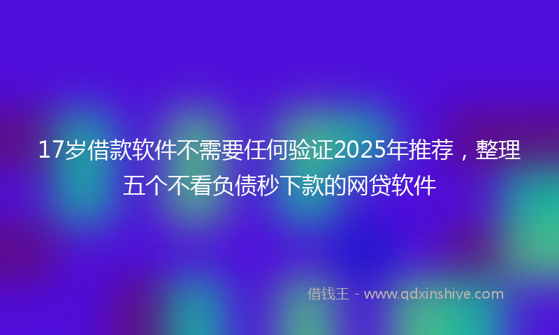 17岁借款软件不需要任何验证2025年推荐，整理五个不看负债秒下款的网贷软件