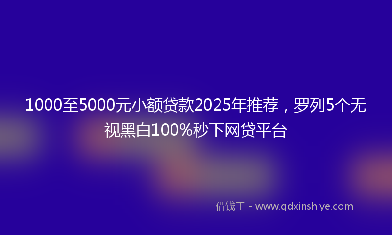 1000至5000元小额贷款2025年推荐，罗列5个无视黑白100%秒下网贷平台