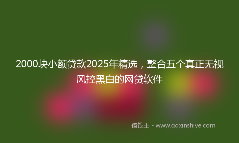 2000块小额贷款2025年精选，整合五个真正无视风控黑白的网贷软件