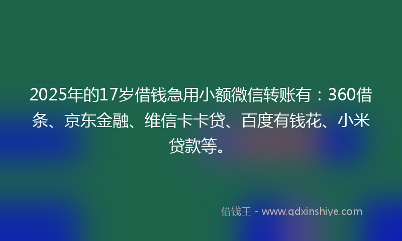 2025年的17岁借钱急用小额微信转账有：360借条、京东金融、维信卡卡贷、百度有钱花、小米贷款等。