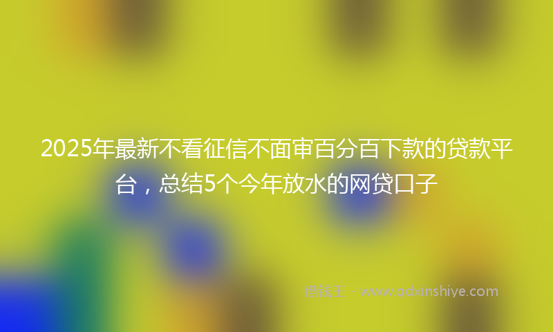 2025年最新不看征信不面审百分百下款的贷款平台，总结5个今年放水的网贷口子