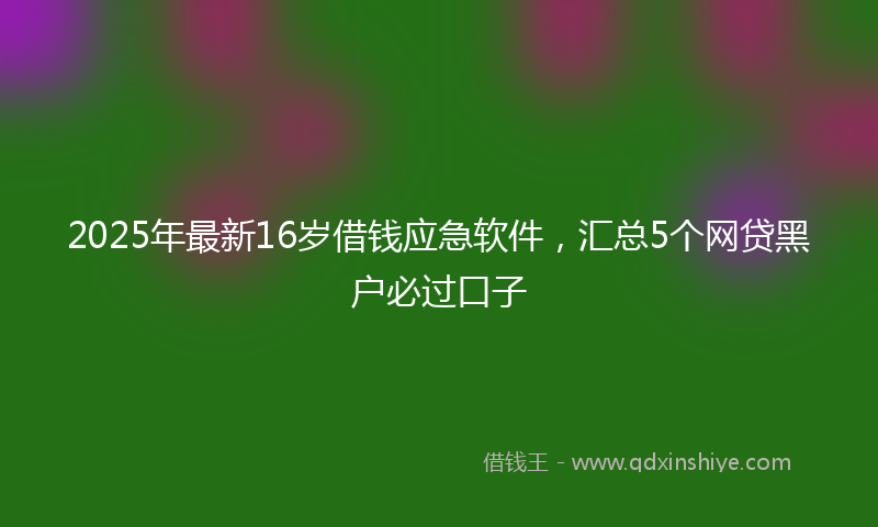 2025年最新16岁借钱应急软件，汇总5个网贷黑户必过口子