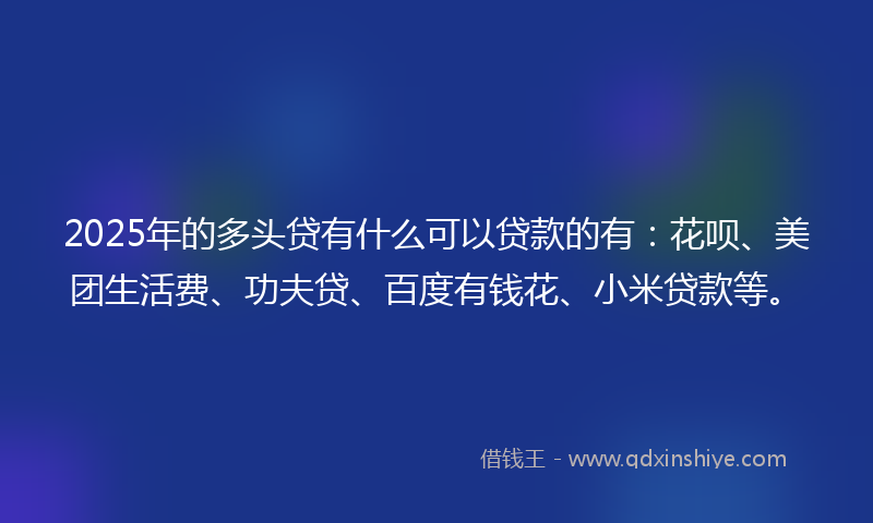 2025年的多头贷有什么可以贷款的有：花呗、美团生活费、功夫贷、百度有钱花、小米贷款等。