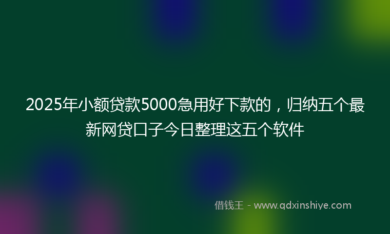 2025年小额贷款5000急用好下款的，归纳五个最新网贷口子今日整理这五个软件