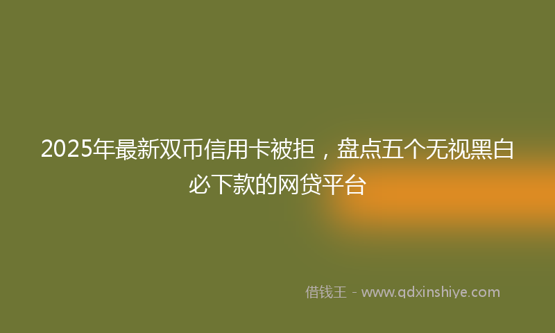 2025年最新双币信用卡被拒，盘点五个无视黑白必下款的网贷平台