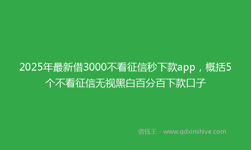 2025年最新借3000不看征信秒下款app，概括5个不看征信无视黑白百分百下款口子