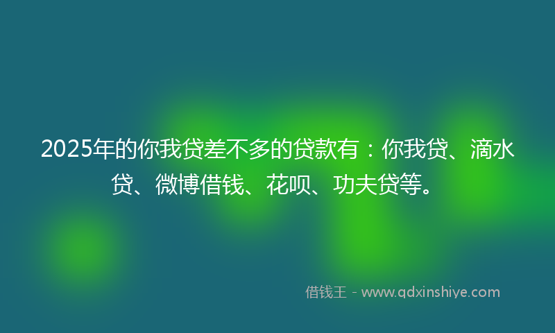 2025年的你我贷差不多的贷款有：你我贷、滴水贷、微博借钱、花呗、功夫贷等。