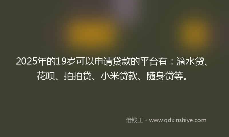 2025年的19岁可以申请贷款的平台有：滴水贷、花呗、拍拍贷、小米贷款、随身贷等。