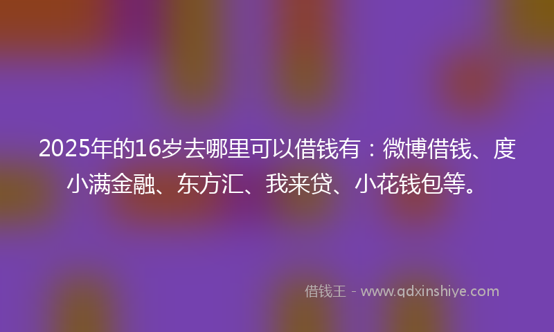 2025年的16岁去哪里可以借钱有：微博借钱、度小满金融、东方汇、我来贷、小花钱包等。