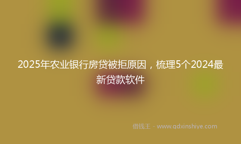 2025年农业银行房贷被拒原因，梳理5个2024最新贷款软件