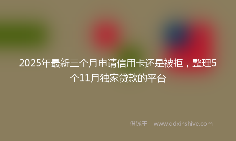2025年最新三个月申请信用卡还是被拒，整理5个11月独家贷款的平台