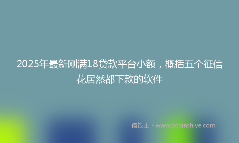 2025年最新刚满18贷款平台小额，概括五个征信花居然都下款的软件