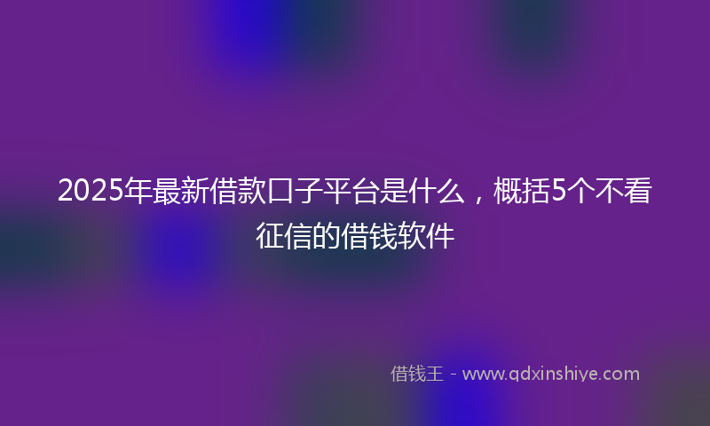 2025年最新借款口子平台是什么，概括5个不看征信的借钱软件
