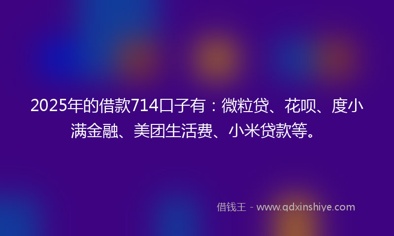 2025年的借款714口子有：微粒贷、花呗、度小满金融、美团生活费、小米贷款等。