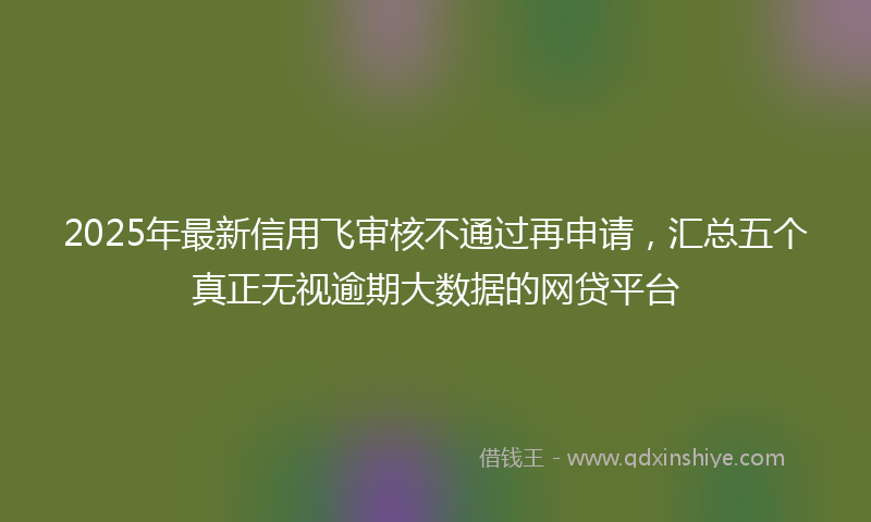 2025年最新信用飞审核不通过再申请，汇总五个真正无视逾期大数据的网贷平台