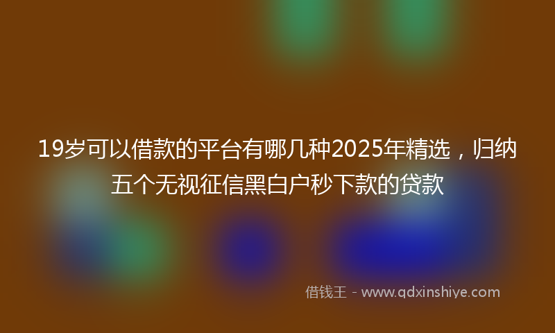 19岁可以借款的平台有哪几种2025年精选，归纳五个无视征信黑白户秒下款的贷款