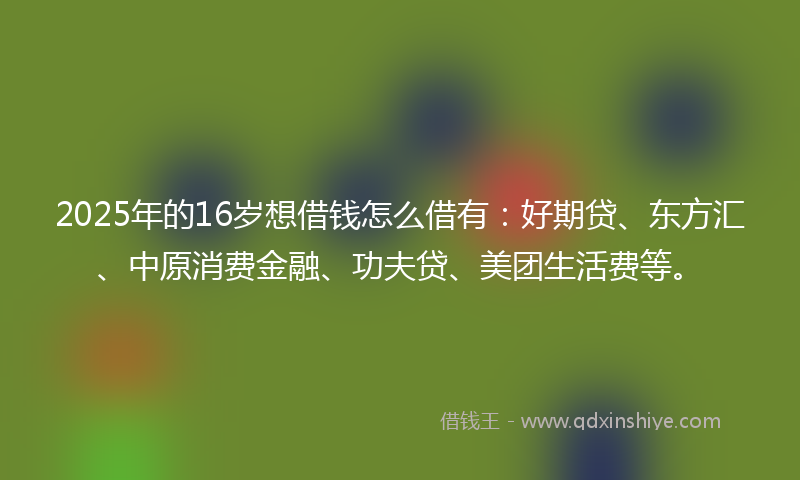 2025年的16岁想借钱怎么借有：好期贷、东方汇、中原消费金融、功夫贷、美团生活费等。