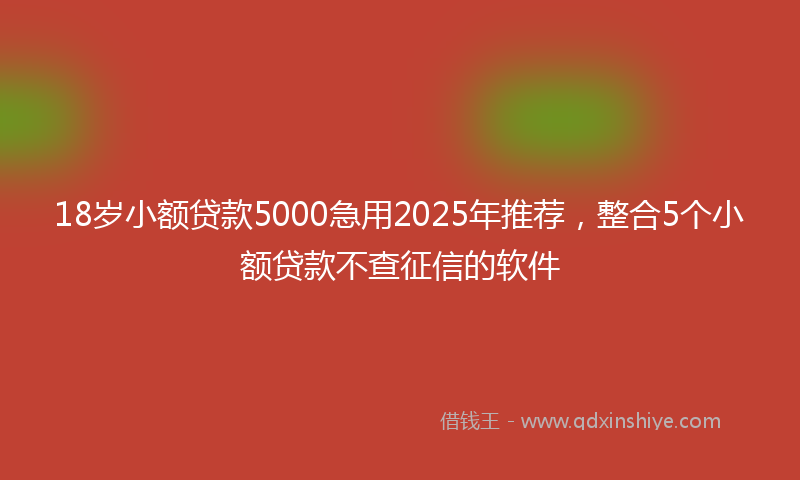 18岁小额贷款5000急用2025年推荐，整合5个小额贷款不查征信的软件