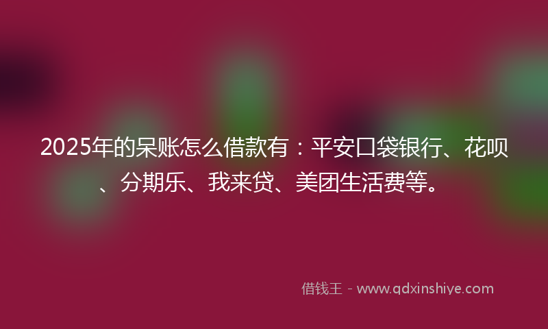 2025年的呆账怎么借款有：平安口袋银行、花呗、分期乐、我来贷、美团生活费等。