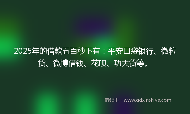 2025年的借款五百秒下有：平安口袋银行、微粒贷、微博借钱、花呗、功夫贷等。
