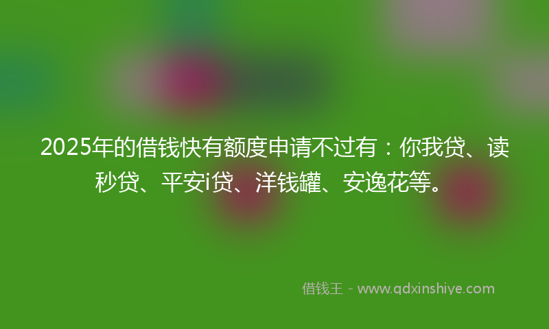 2025年的借钱快有额度申请不过有：你我贷、读秒贷、平安i贷、洋钱罐、安逸花等。
