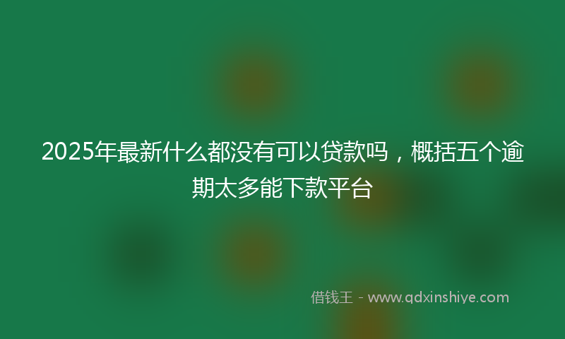 2025年最新什么都没有可以贷款吗，概括五个逾期太多能下款平台