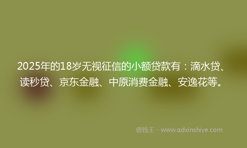 2025年的18岁无视征信的小额贷款有：滴水贷、读秒贷、京东金融、中原消费金融、安逸花等。