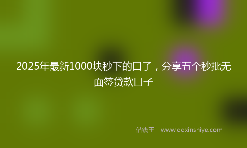 2025年最新1000块秒下的口子，分享五个秒批无面签贷款口子