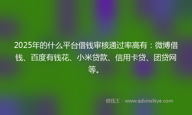 2025年的什么平台借钱审核通过率高有：微博借钱、百度有钱花、小米贷款、信用卡贷、团贷网等。