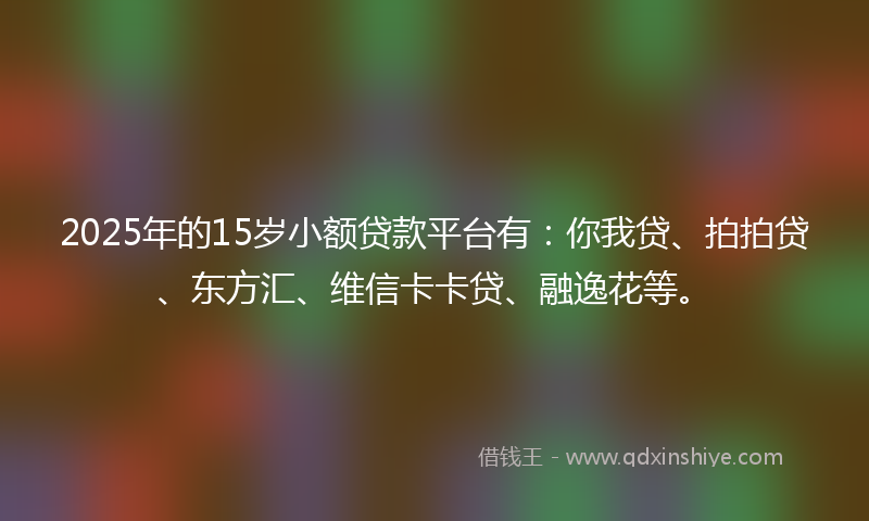 2025年的15岁小额贷款平台有：你我贷、拍拍贷、东方汇、维信卡卡贷、融逸花等。