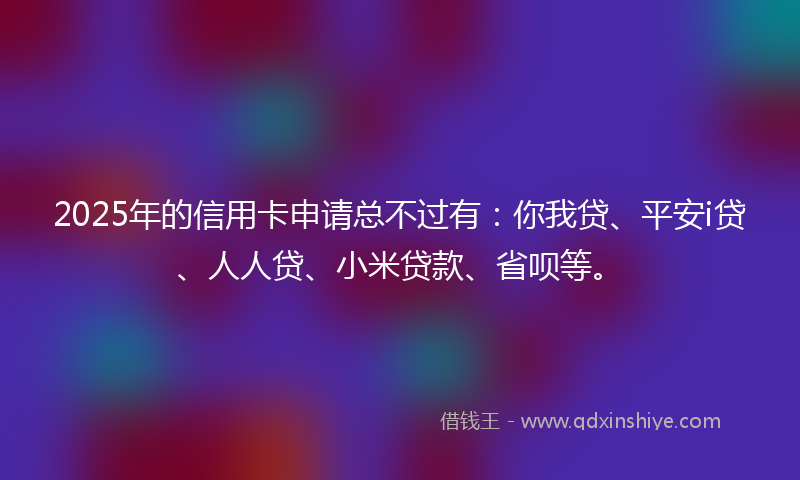 2025年的信用卡申请总不过有：你我贷、平安i贷、人人贷、小米贷款、省呗等。