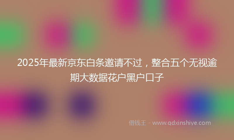 2025年最新京东白条邀请不过，整合五个无视逾期大数据花户黑户口子