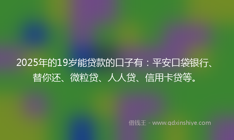 2025年的19岁能贷款的口子有：平安口袋银行、替你还、微粒贷、人人贷、信用卡贷等。