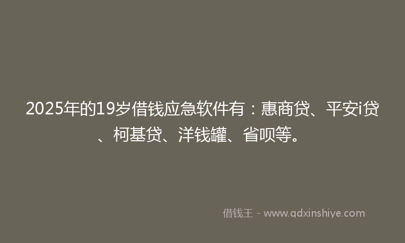 2025年的19岁借钱应急软件有：惠商贷、平安i贷、柯基贷、洋钱罐、省呗等。