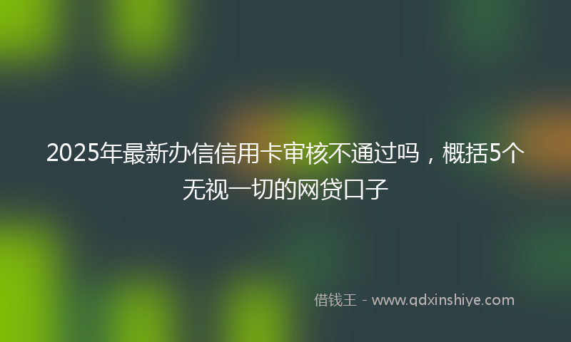 2025年最新办信信用卡审核不通过吗，概括5个无视一切的网贷口子