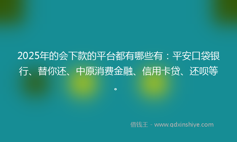 2025年的会下款的平台都有哪些有：平安口袋银行、替你还、中原消费金融、信用卡贷、还呗等。