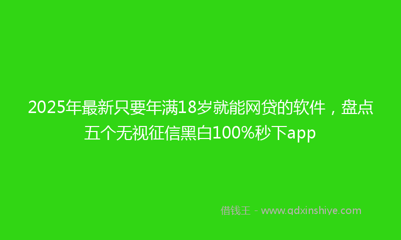 2025年最新只要年满18岁就能网贷的软件，盘点五个无视征信黑白100%秒下app