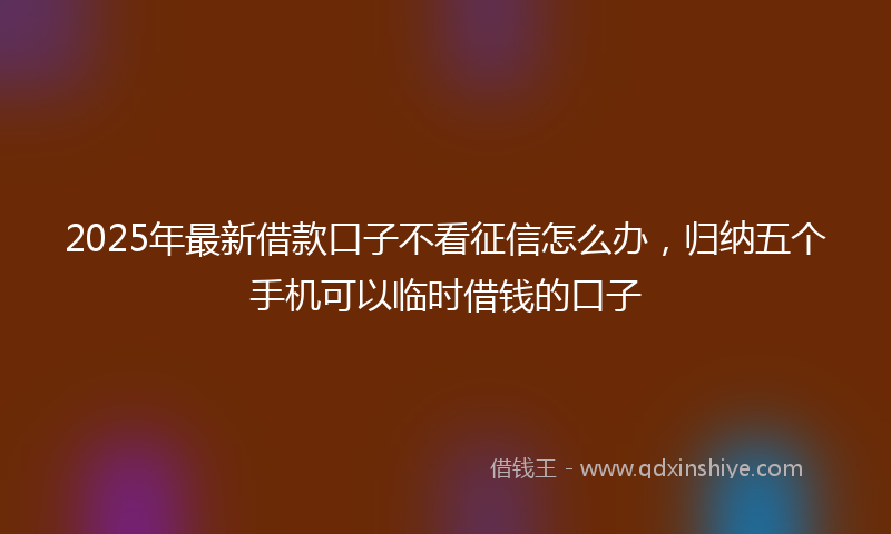 2025年最新借款口子不看征信怎么办，归纳五个手机可以临时借钱的口子